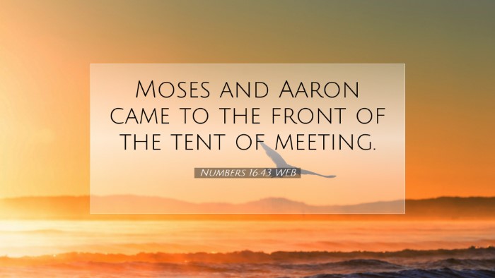 Picture 07 - Numbers 16:43 WEB Desktop Wallpaper - Moses and Aaron came to the front of the tent of - Desktop Bible Verse Wallpaper