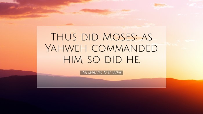 Picture 07 - Numbers 17:11 WEB Desktop Wallpaper - Thus did Moses: as Yahweh commanded him, so did - Desktop Bible Verse Wallpaper