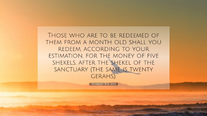 Picture 07 - Numbers 18:16 WEB Desktop Wallpaper - Those who are to be redeemed of them from a month - Desktop Bible Verse Wallpaper