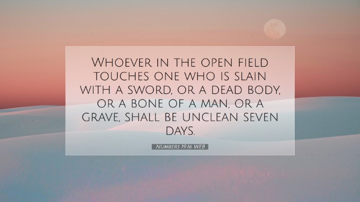 Picture 07 - Numbers 19:16 WEB Desktop Wallpaper - Whoever in the open field touches one who is - Desktop Bible Verse Wallpaper