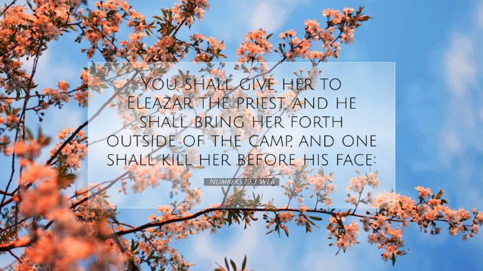 Picture 07 - Numbers 19:3 WEB Desktop Wallpaper - You shall give her to Eleazar the priest, and he - Desktop Bible Verse Wallpaper