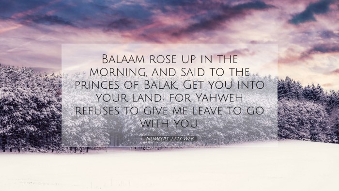 Picture 07 - Numbers 22:13 WEB Desktop Wallpaper - Balaam rose up in the morning, and said to the - Desktop Bible Verse Wallpaper