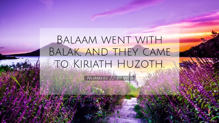 Picture 07 - Numbers 22:39 WEB Desktop Wallpaper - Balaam went with Balak, and they came to Kiriath - Desktop Bible Verse Wallpaper