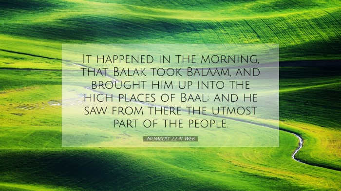 Picture 07 - Numbers 22:41 WEB Desktop Wallpaper - It happened in the morning, that Balak took - Desktop Bible Verse Wallpaper