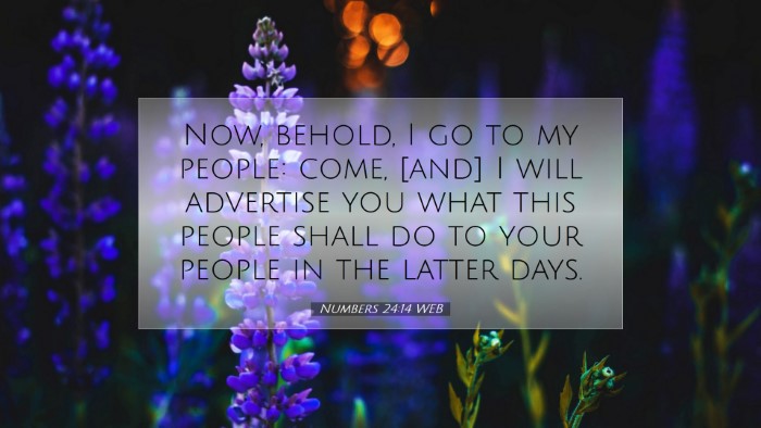 Picture 07 - Numbers 24:14 WEB Desktop Wallpaper - Now, behold, I go to my people: come, [and] I - Desktop Bible Verse Wallpaper