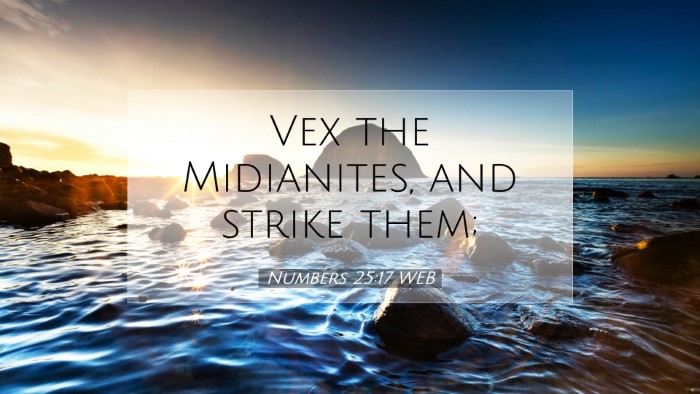 Picture 07 - Numbers 25:17 WEB Desktop Wallpaper - Vex the Midianites, and strike - Desktop Bible Verse Wallpaper