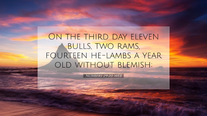 Picture 07 - Numbers 29:20 WEB Desktop Wallpaper - On the third day eleven bulls, two rams, fourteen - Desktop Bible Verse Wallpaper