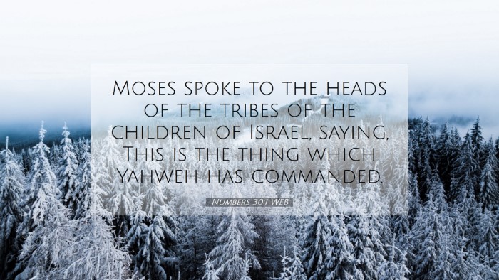 Picture 07 - Numbers 30:1 WEB Desktop Wallpaper - Moses spoke to the heads of the tribes of the - Desktop Bible Verse Wallpaper