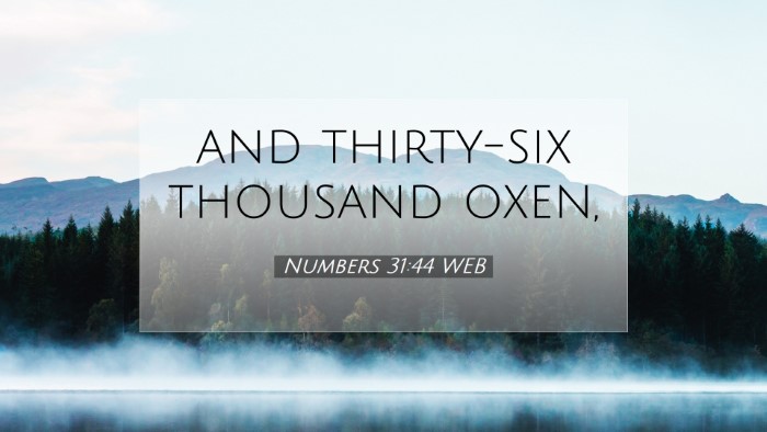 Picture 07 - Numbers 31:44 WEB Desktop Wallpaper - and thirty-six thousand - Desktop Bible Verse Wallpaper