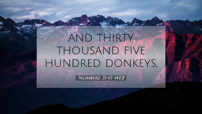 Picture 07 - Numbers 31:45 WEB Desktop Wallpaper - and thirty thousand five hundred - Desktop Bible Verse Wallpaper