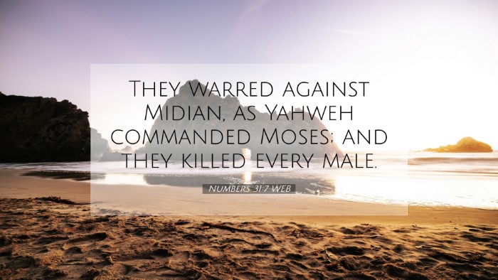 Picture 07 - Numbers 31:7 WEB Desktop Wallpaper - They warred against Midian, as Yahweh commanded - Desktop Bible Verse Wallpaper