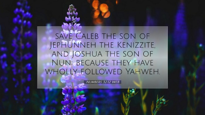 Picture 07 - Numbers 32:12 WEB Desktop Wallpaper - save Caleb the son of Jephunneh the Kenizzite, - Desktop Bible Verse Wallpaper