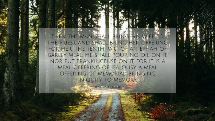 Picture 07 - Numbers 5:15 WEB Desktop Wallpaper - then the man shall bring his wife to the priest, - Desktop Bible Verse Wallpaper