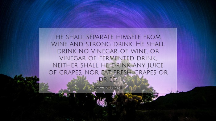 Picture 07 - Numbers 6:3 WEB Desktop Wallpaper - he shall separate himself from wine and strong - Desktop Bible Verse Wallpaper
