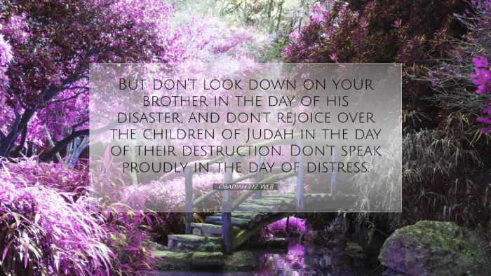 Picture 07 - Obadiah 1:12 WEB Desktop Wallpaper - But don't look down on your brother in the day of - Desktop Bible Verse Wallpaper