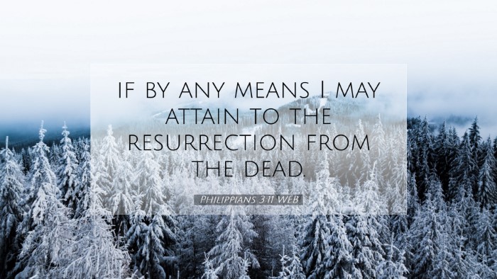 Picture 07 - Philippians 3:11 WEB Desktop Wallpaper - if by any means I may attain to the resurrection - Desktop Bible Verse Wallpaper