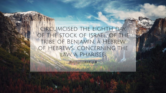 Picture 07 - Philippians 3:5 WEB Desktop Wallpaper - circumcised the eighth day, of the stock of - Desktop Bible Verse Wallpaper