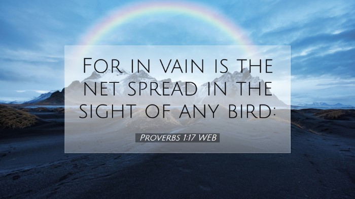 Picture 07 - Proverbs 1:17 WEB Desktop Wallpaper - For in vain is the net spread in the sight of any - Desktop Bible Verse Wallpaper
