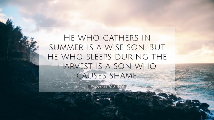 Picture 07 - Proverbs 10:5 WEB Desktop Wallpaper - He who gathers in summer is a wise son, But he - Desktop Bible Verse Wallpaper