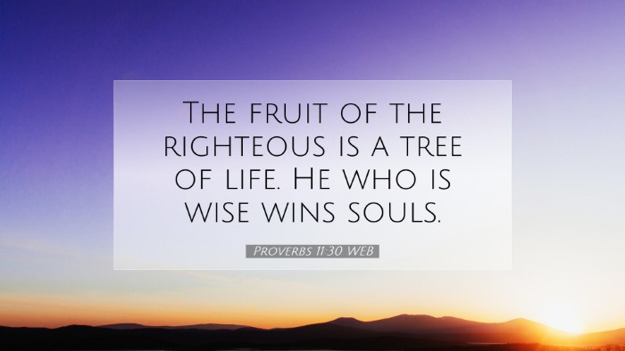 Picture 07 - Proverbs 11:30 WEB Desktop Wallpaper - The fruit of the righteous is a tree of life. He - Desktop Bible Verse Wallpaper