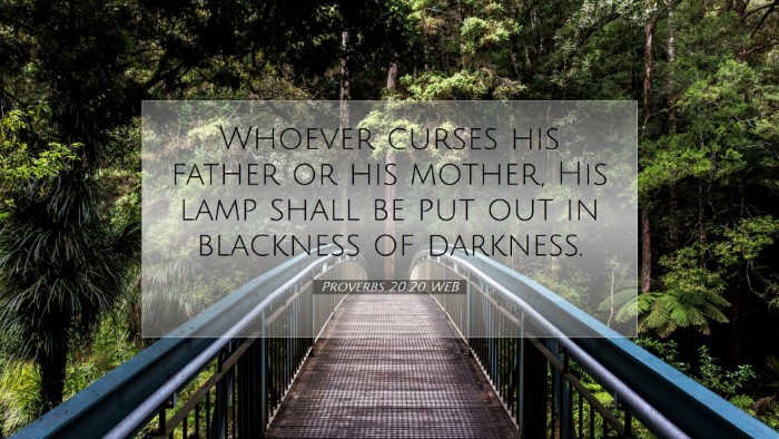 Picture 07 - Proverbs 20:20 WEB Desktop Wallpaper - Whoever curses his father or his mother, His lamp - Desktop Bible Verse Wallpaper