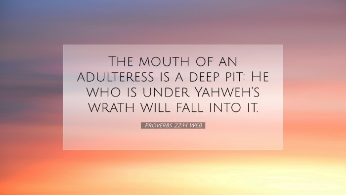 Picture 07 - Proverbs 22:14 WEB Desktop Wallpaper - The mouth of an adulteress is a deep pit: He who - Desktop Bible Verse Wallpaper