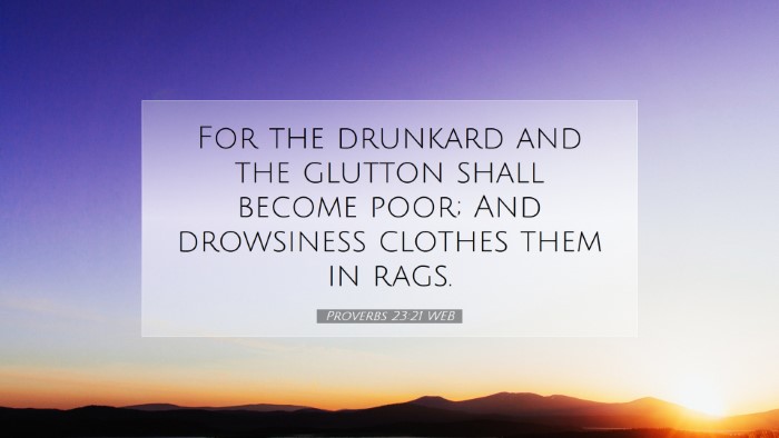 Picture 07 - Proverbs 23:21 WEB Desktop Wallpaper - For the drunkard and the glutton shall become - Desktop Bible Verse Wallpaper