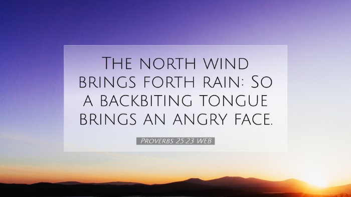 Picture 07 - Proverbs 25:23 WEB Desktop Wallpaper - The north wind brings forth rain: So a backbiting - Desktop Bible Verse Wallpaper