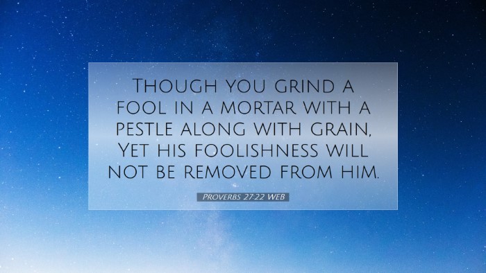 Picture 07 - Proverbs 27:22 WEB Desktop Wallpaper - Though you grind a fool in a mortar with a pestle - Desktop Bible Verse Wallpaper