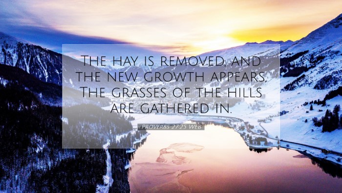 Picture 07 - Proverbs 27:25 WEB Desktop Wallpaper - The hay is removed, and the new growth appears, - Desktop Bible Verse Wallpaper