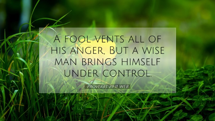Picture 07 - Proverbs 29:11 WEB Desktop Wallpaper - A fool vents all of his anger, But a wise man - Desktop Bible Verse Wallpaper