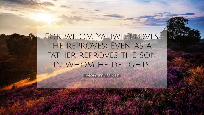 Picture 07 - Proverbs 3:12 WEB Desktop Wallpaper - For whom Yahweh loves, he reproves; Even as a - Desktop Bible Verse Wallpaper
