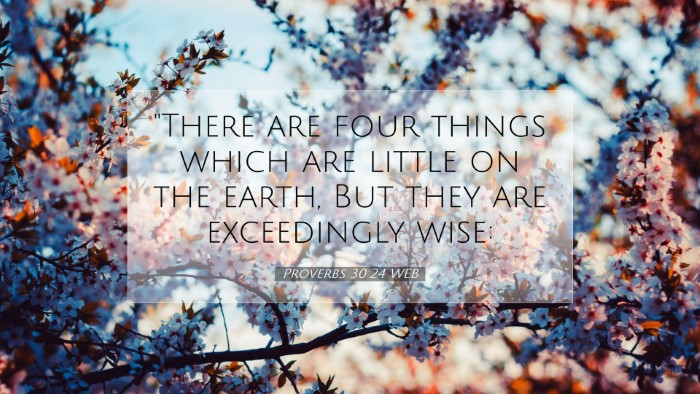 Picture 07 - Proverbs 30:24 WEB Desktop Wallpaper - 