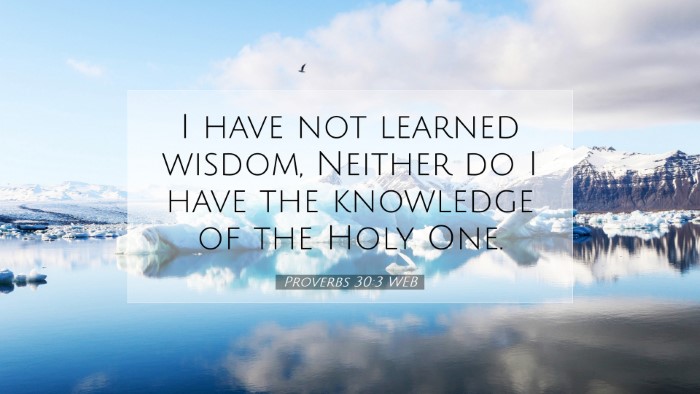 Picture 07 - Proverbs 30:3 WEB Desktop Wallpaper - I have not learned wisdom, Neither do I have the - Desktop Bible Verse Wallpaper
