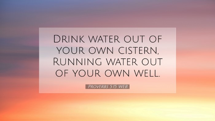Picture 07 - Proverbs 5:15 WEB Desktop Wallpaper - Drink water out of your own cistern, Running - Desktop Bible Verse Wallpaper