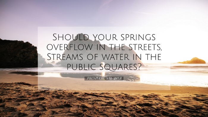 Picture 07 - Proverbs 5:16 WEB Desktop Wallpaper - Should your springs overflow in the streets, - Desktop Bible Verse Wallpaper