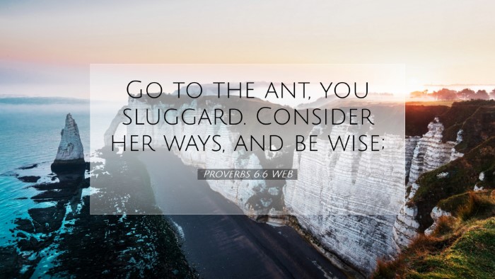 Picture 07 - Proverbs 6:6 WEB Desktop Wallpaper - Go to the ant, you sluggard. Consider her ways, - Desktop Bible Verse Wallpaper