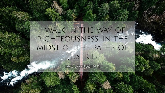 Picture 07 - Proverbs 8:20 WEB Desktop Wallpaper - I walk in the way of righteousness, In the midst - Desktop Bible Verse Wallpaper