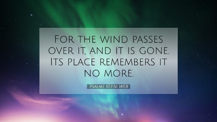 Picture 07 - Psalms 103:16 WEB Desktop Wallpaper - For the wind passes over it, and it is gone. Its - Desktop Bible Verse Wallpaper