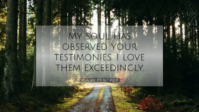 Picture 07 - Psalms 119:167 WEB Desktop Wallpaper - My soul has observed your testimonies. I love - Desktop Bible Verse Wallpaper