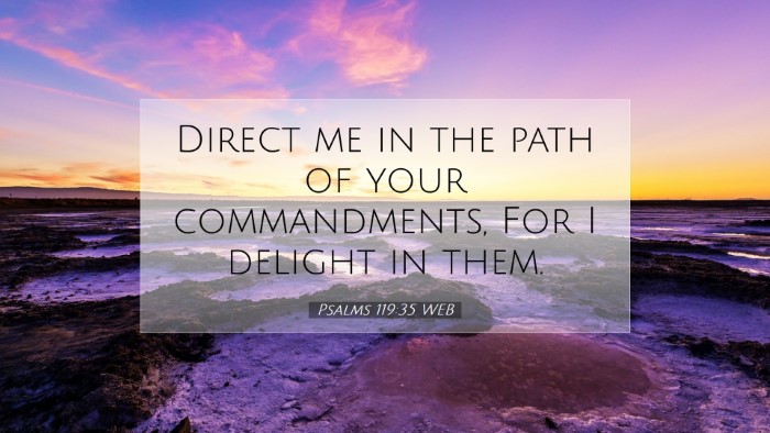 Picture 07 - Psalms 119:35 WEB Desktop Wallpaper - Direct me in the path of your commandments, For I - Desktop Bible Verse Wallpaper