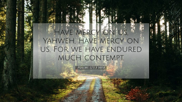 Picture 07 - Psalms 123:3 WEB Desktop Wallpaper - Have mercy on us, Yahweh, have mercy on us, For - Desktop Bible Verse Wallpaper
