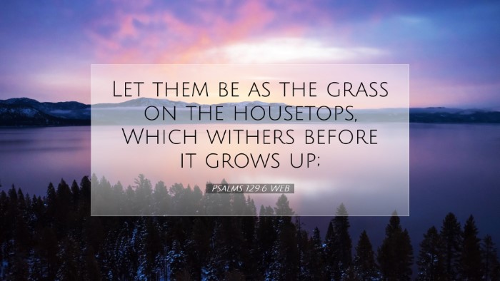 Picture 07 - Psalms 129:6 WEB Desktop Wallpaper - Let them be as the grass on the housetops, Which - Desktop Bible Verse Wallpaper