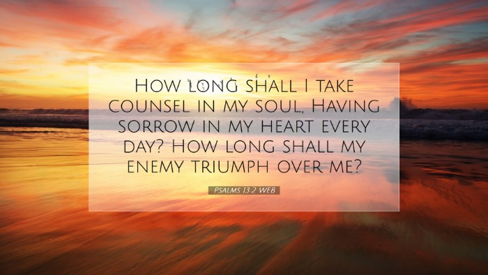 Picture 07 - Psalms 13:2 WEB Desktop Wallpaper - How long shall I take counsel in my soul, Having - Desktop Bible Verse Wallpaper