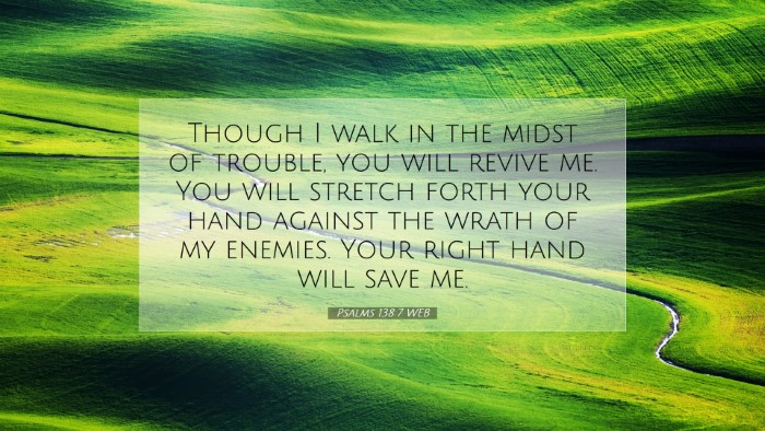 Picture 07 - Psalms 138:7 WEB Desktop Wallpaper - Though I walk in the midst of trouble, you will - Desktop Bible Verse Wallpaper