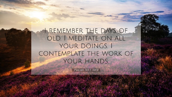 Picture 07 - Psalms 143:5 WEB Desktop Wallpaper - I remember the days of old. I meditate on all - Desktop Bible Verse Wallpaper