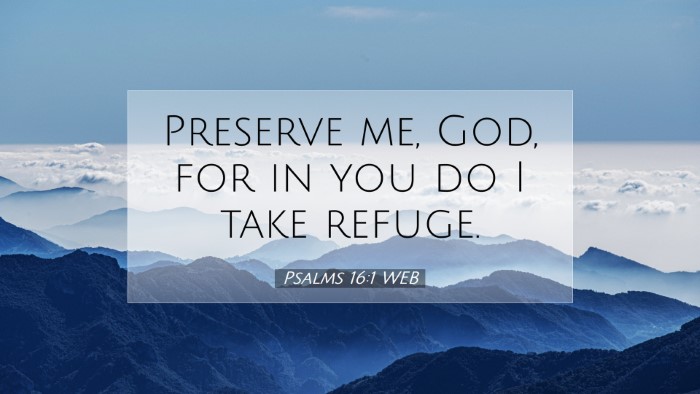 Picture 07 - Psalms 16:1 WEB Desktop Wallpaper - Preserve me, God, for in you do I take - Desktop Bible Verse Wallpaper