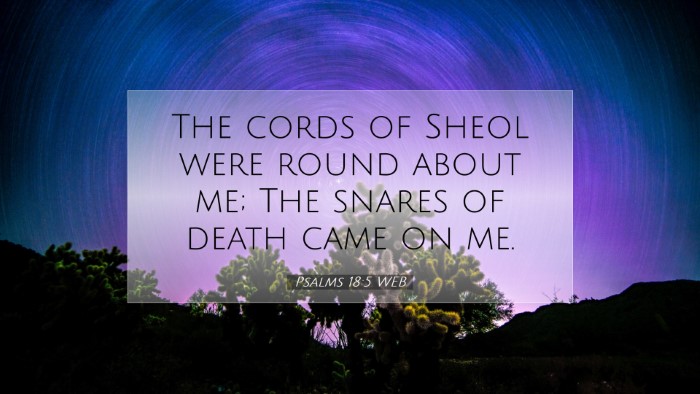 Picture 07 - Psalms 18:5 WEB Desktop Wallpaper - The cords of Sheol were round about me; The - Desktop Bible Verse Wallpaper