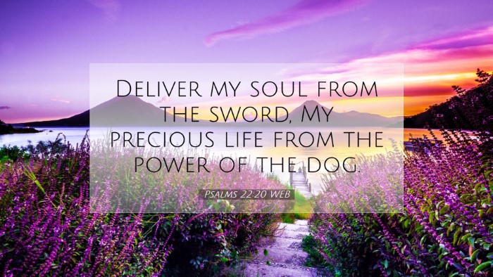 Picture 07 - Psalms 22:20 WEB Desktop Wallpaper - Deliver my soul from the sword, My precious life - Desktop Bible Verse Wallpaper