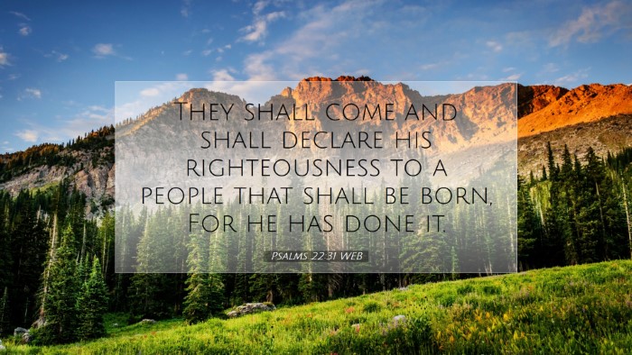 Picture 07 - Psalms 22:31 WEB Desktop Wallpaper - They shall come and shall declare his - Desktop Bible Verse Wallpaper